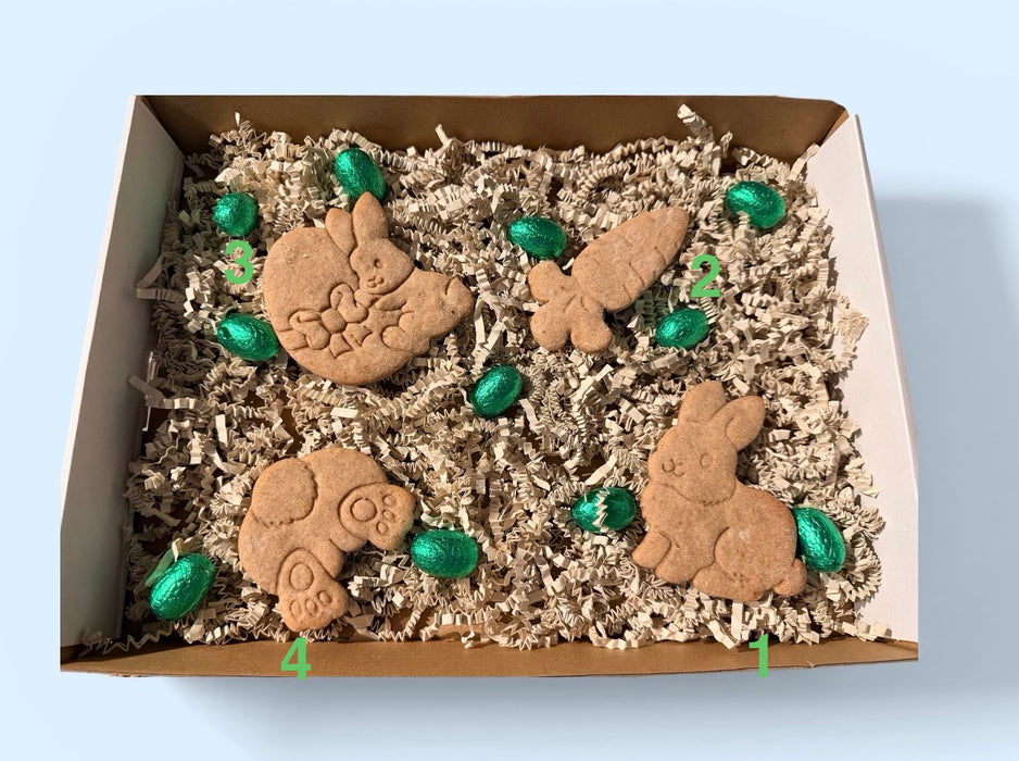 Lapin & carotte grand format