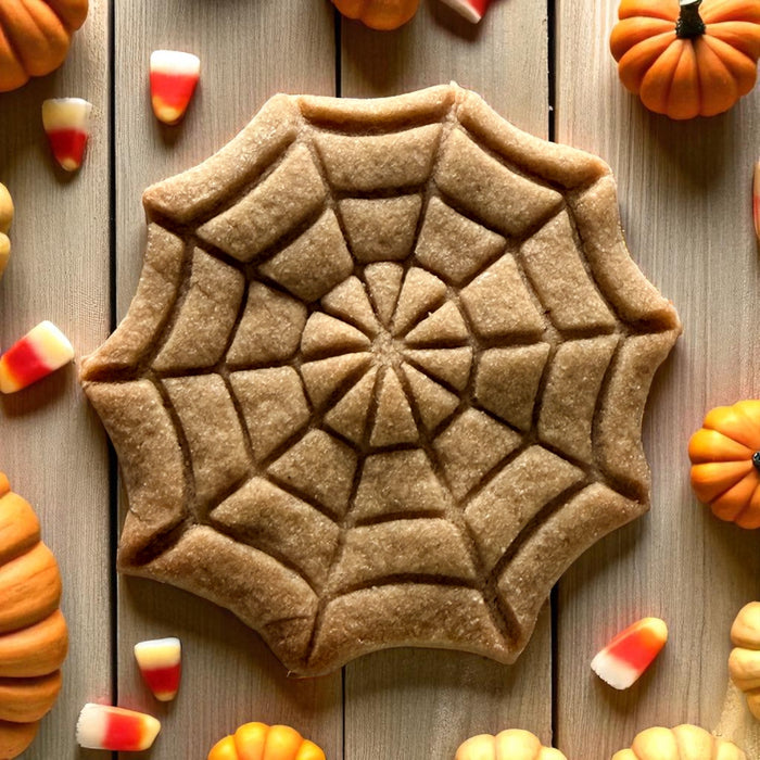 La toile d’araignée 🎃