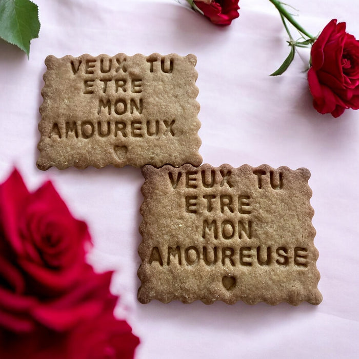 Veux-tu être mon amoureux(se)